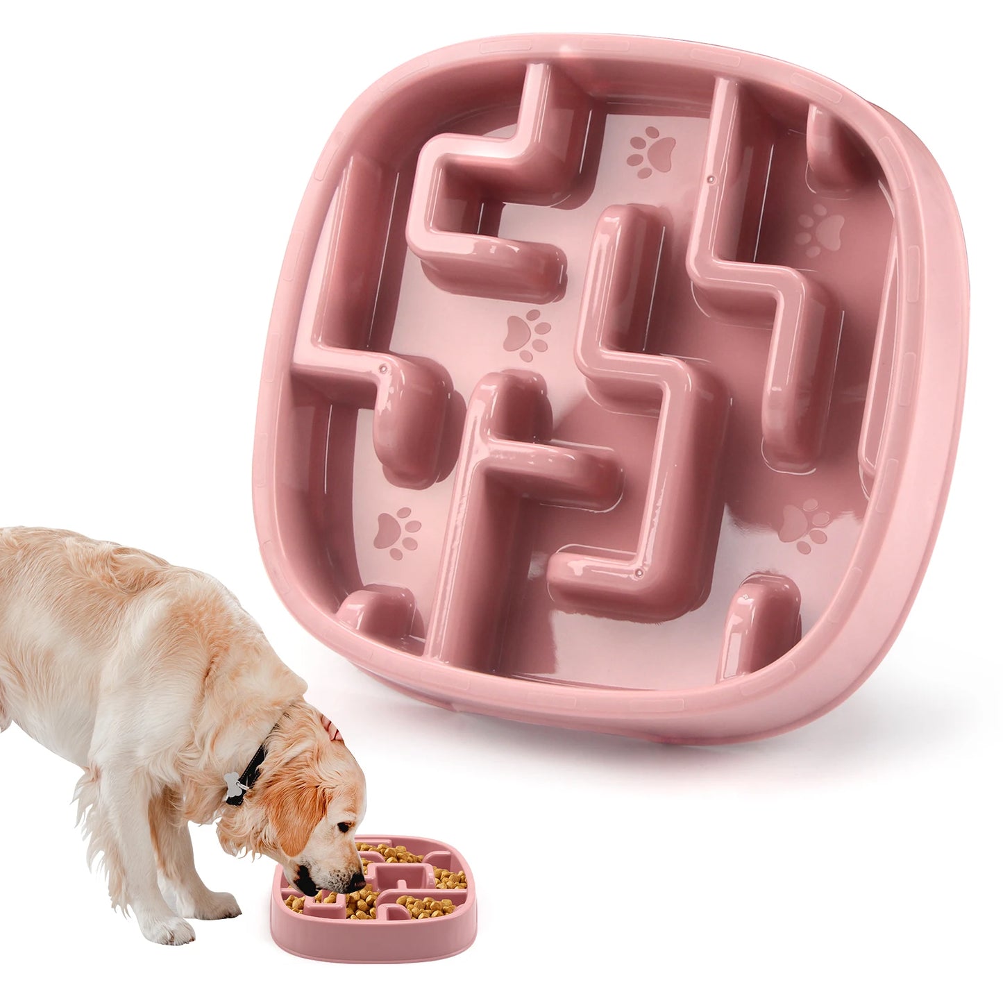 Gamelle anti-glouton multicolore pour chien et chat – Labyrinthe et circulaire
