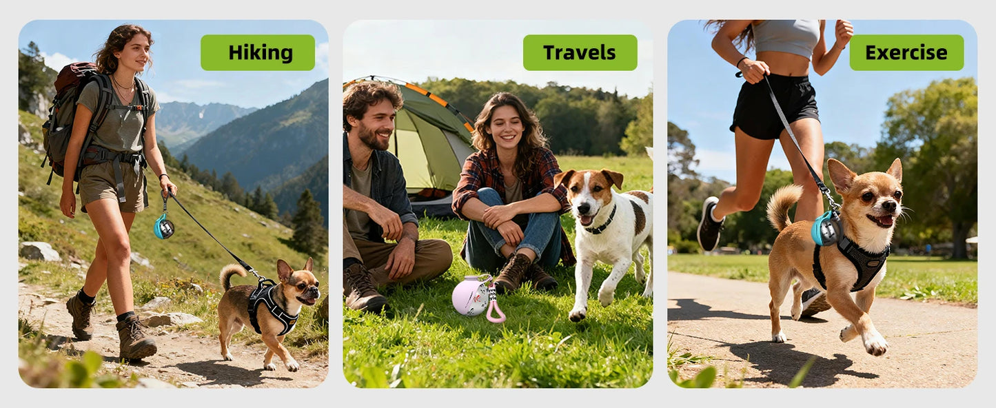 Gourde 2 en 1 portable pour petits chiens — acier inoxydable, sans fuite et compacte