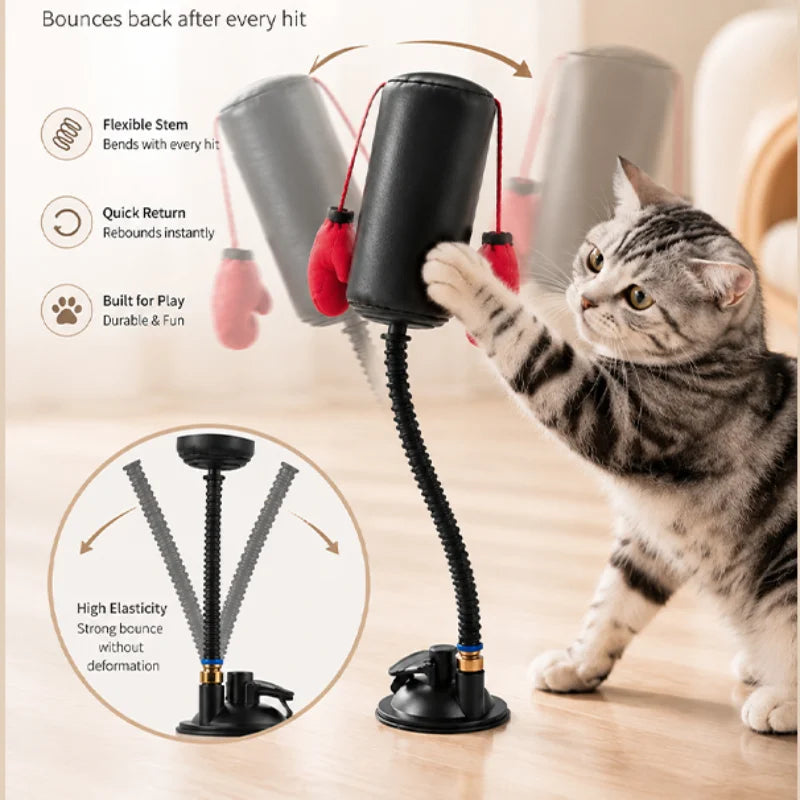 Interactive Cat Boxing Toy Multifunctional Entertainment for Self-Relaxation Fun Exercise Toy for Indoor Cats Kitten Activity