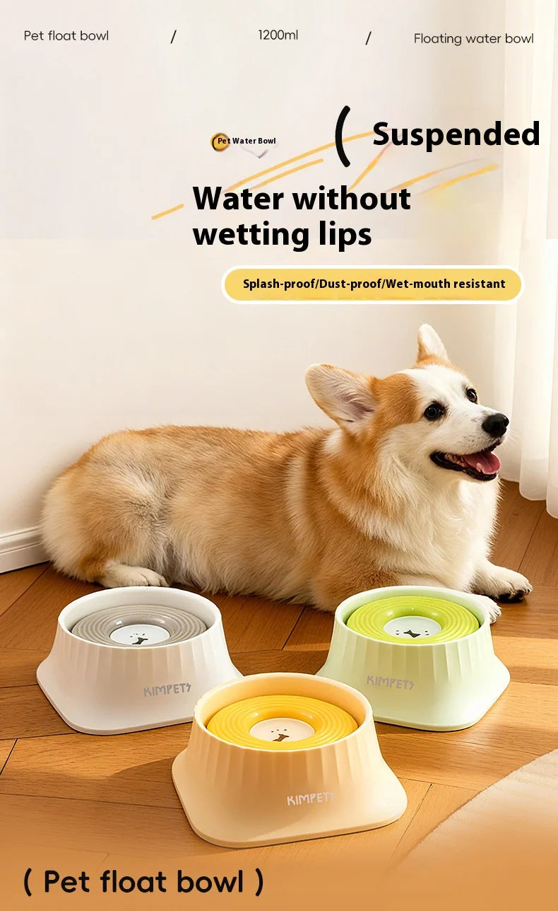 Gamelle d'eau flottante anti-éclaboussures pour chien – Petits et moyens chiens
