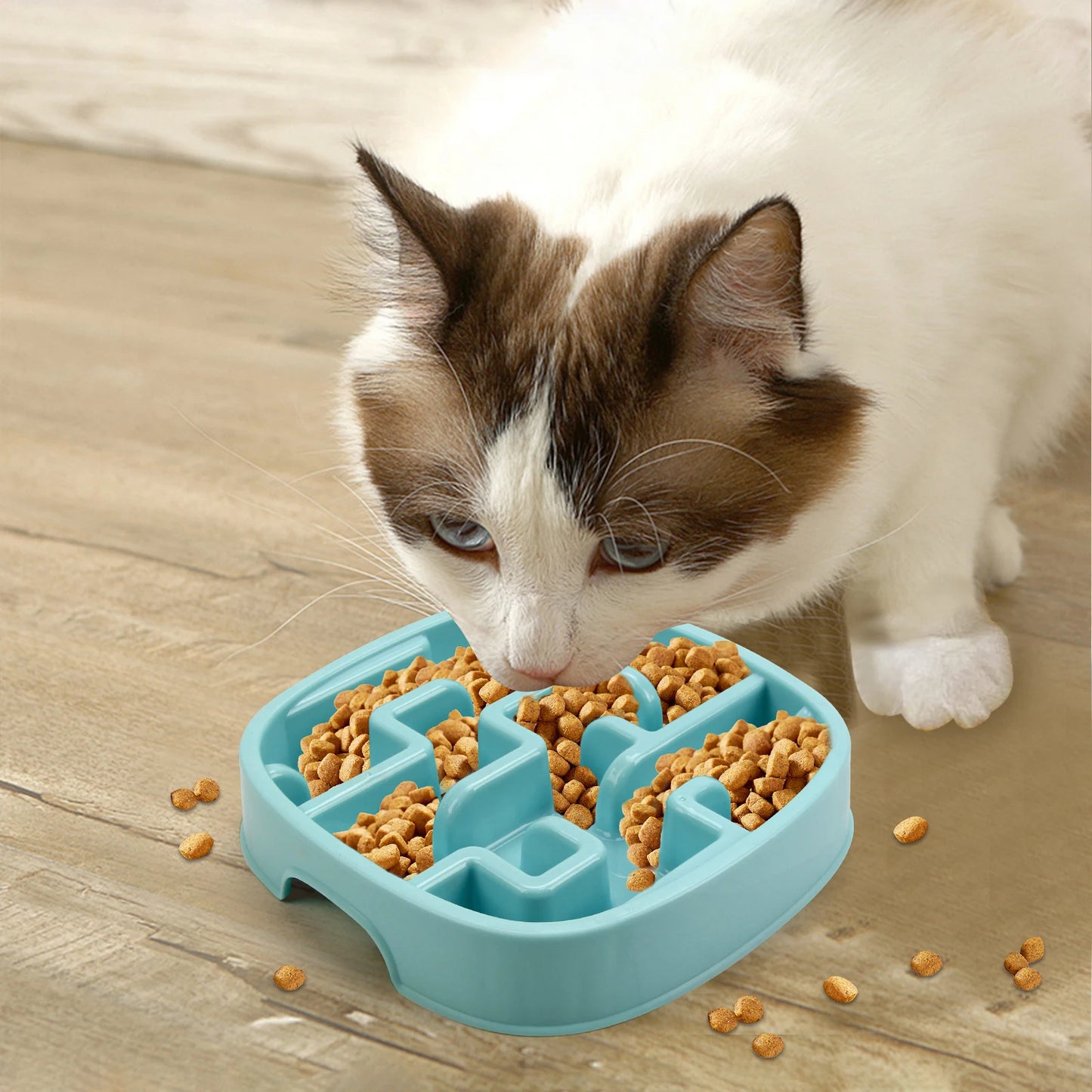 Multicolor anti-gulping bowl for dogs and cats – Labyrinth and circular
