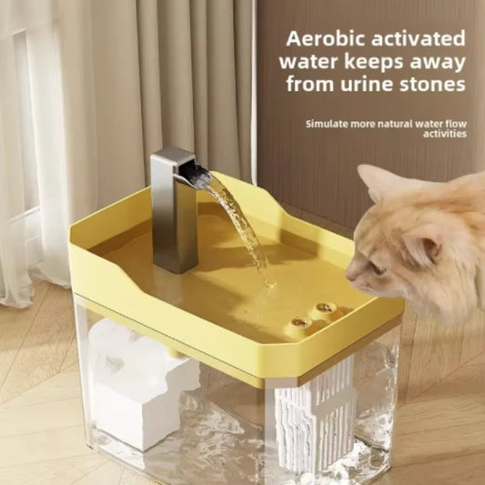 Transparent USB Anti-Dry Cat Water Fountain – Automatic Filter