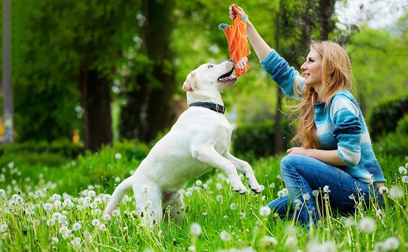 Animal-shaped Dog Squeaky Toy Bite-resistant Plush Pet Toys for Small Medium  Dogs Interactive Puppy Toys Dog Accessories