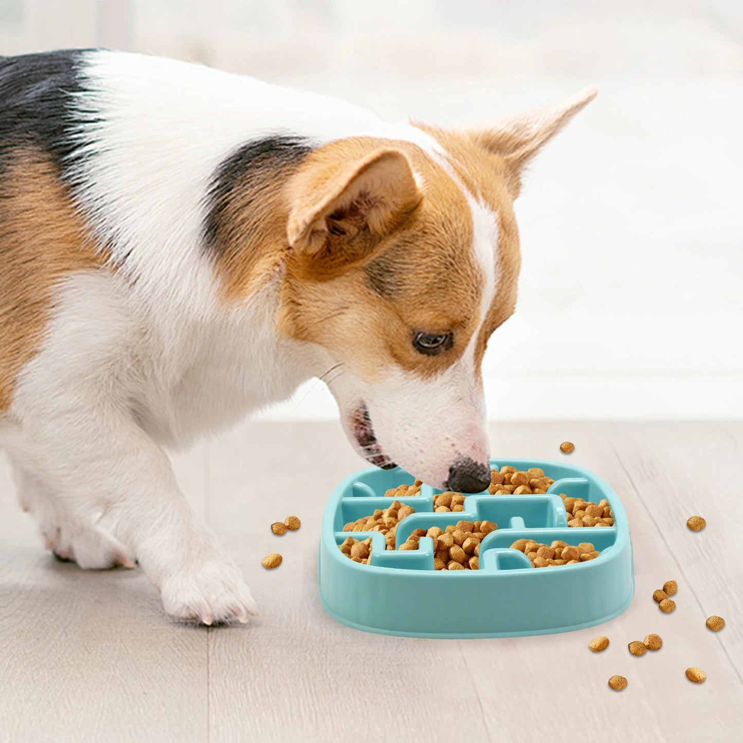 Multicolor anti-gulping bowl for dogs and cats – Labyrinth and circular