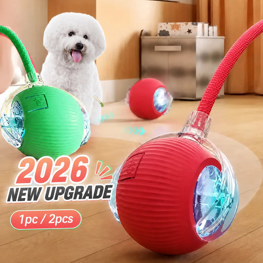 Balle interactive rechargeable à roulement automatique pour chien – Jouet intelligent pour chiots