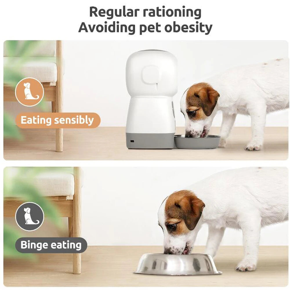 Distributeur automatique de nourriture 3,5L WiFi avec enregistreur vocal pour chats et chiens