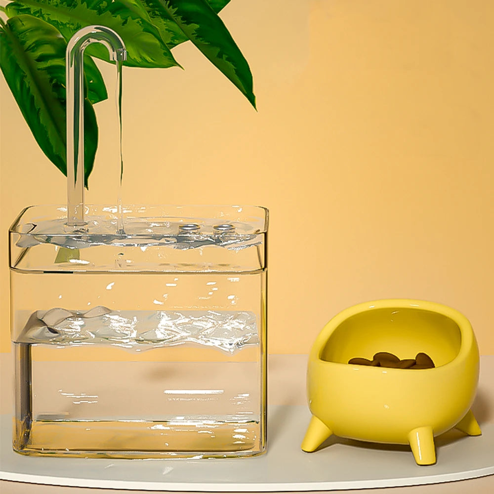 Fontaine à eau transparente USB silencieuse pour chat – Filtre automatique, 1,5 L