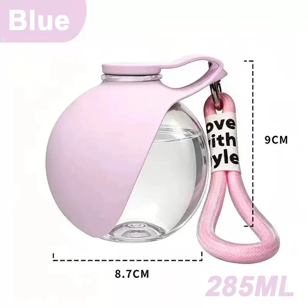 Gourde 2 en 1 portable pour chien avec bol pliable intégré — promenades, randonnées et voyages