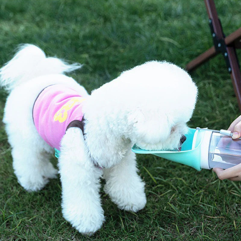 Gourde 2 en 1 portable pour chien avec bol pliable — petits et grands chiens