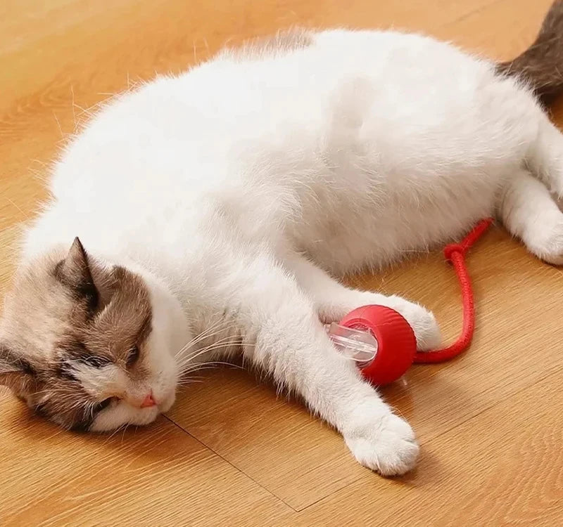 Dog Interactive Ball Toy Automatic Rolling Dog Ball Rechargeable Smart Cat Interactive Toy Intelligent Balls Toy for Pet