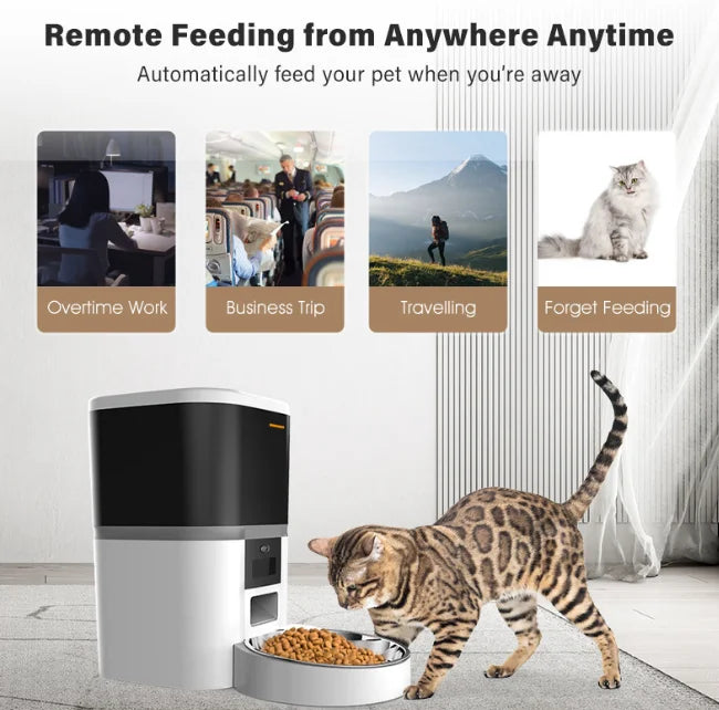 Double Meal Automatic Cat Feeder, Cat Feeder With Video, Tuya WIFI Automatic Dog Feeder, Programmable Pet Feeder, Multiple Models