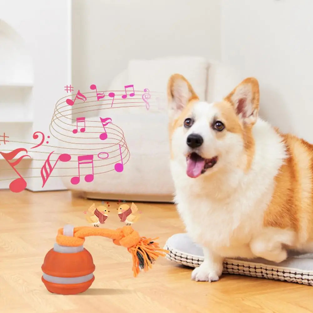 Interactive Dog Toy Ball with Rope Electronic Motion Activated Rolling Ball for Indoor Cat Dog Play Toys for Puppy Training Ball