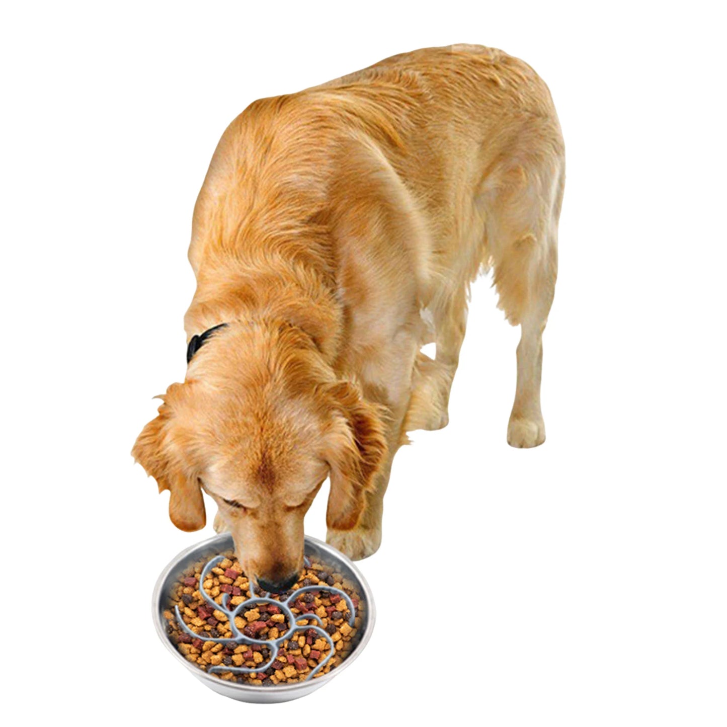 Dog bowl silicone anti-gulp insert – Secure suction cup
