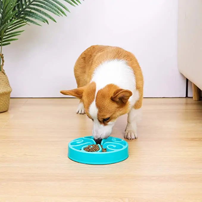 Gamelle anti-glouton puzzle pour chien – Antidérapante, grands et petits chiens