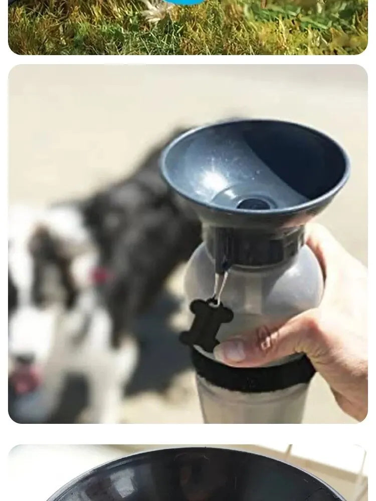 Gourde portable pour chien et chat — tasse d'hydratation pour promenades