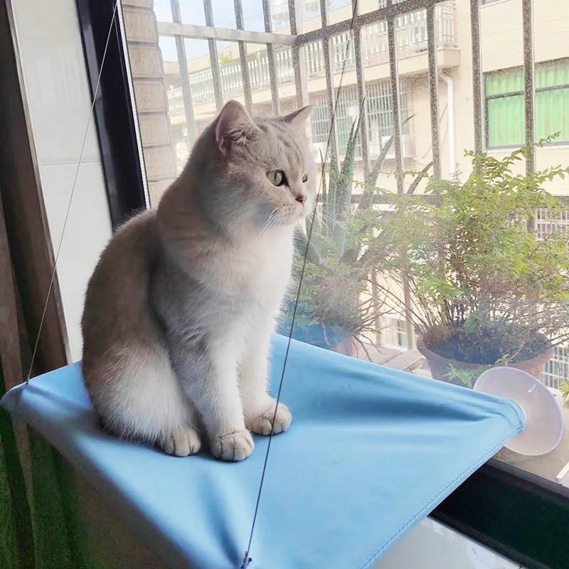New Pet Cat Hammock Hanging Cat Bed Bearing 20 kg Comfortable Sunny Window Seat Kitten Climbing Frame Pet Supplies
