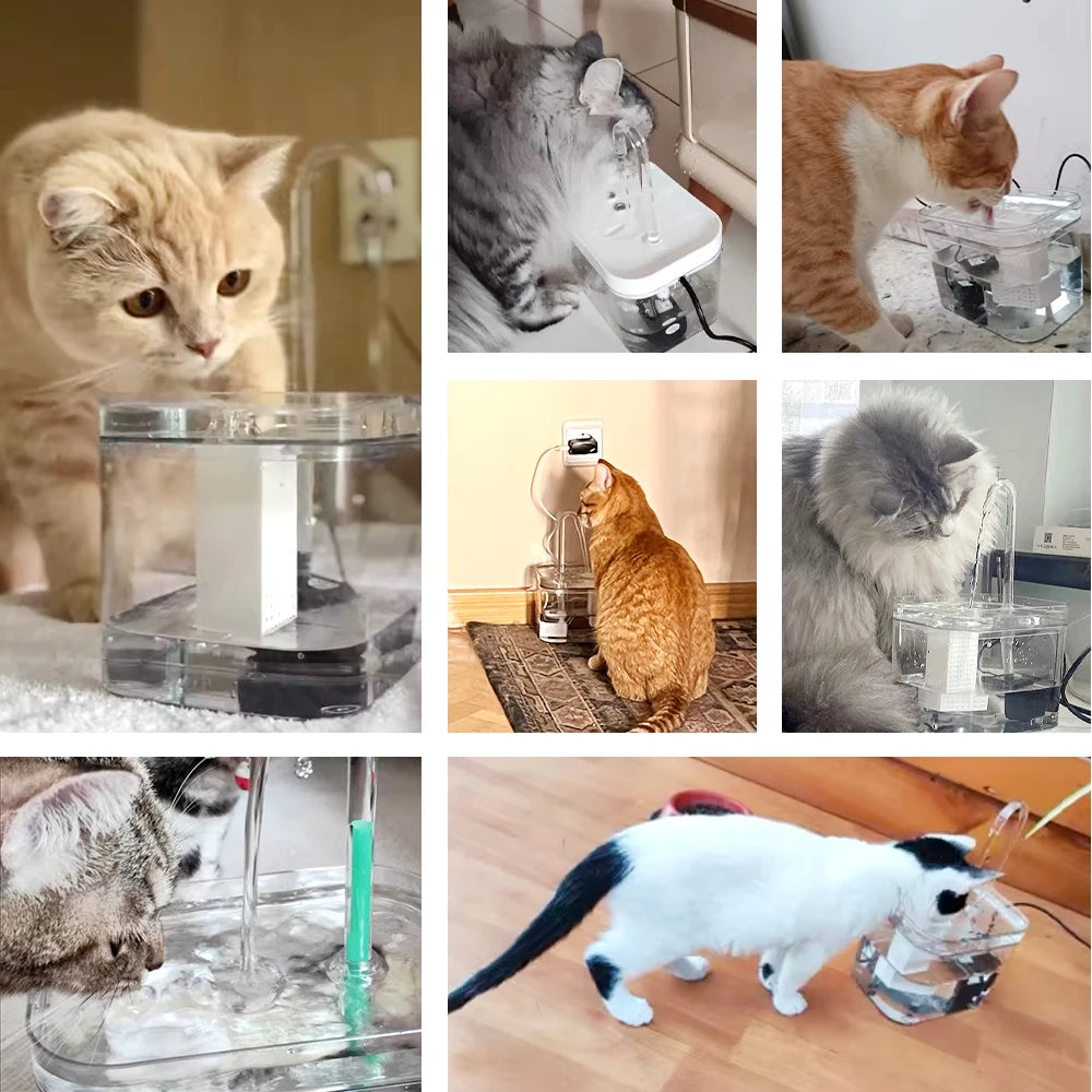 Fontaine à eau transparente USB silencieuse pour chat – Filtre automatique, 1,5 L