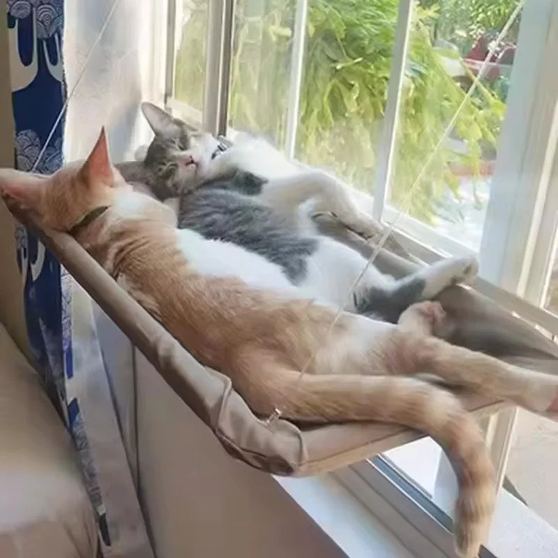 Hamac de fenêtre pour chat — toutes saisons avec ventouses puissantes, installation facile