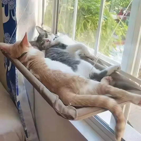 Hamac de fenêtre pour chat — toutes saisons avec ventouses puissantes, installation facile