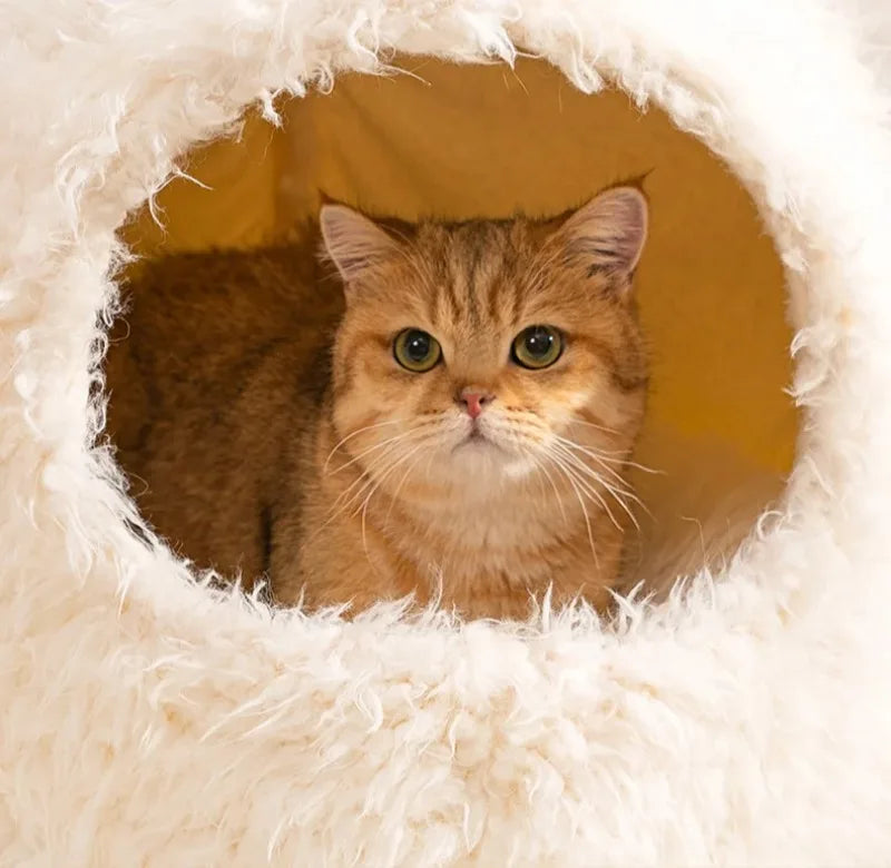 Lit maison ultra-doux pour chat et petit chien — peluche chaude et confortable