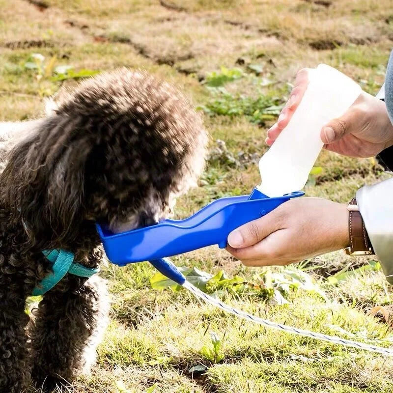 Gourde de voyage portable pour chien et chat — tasse d'hydratation pour promenades