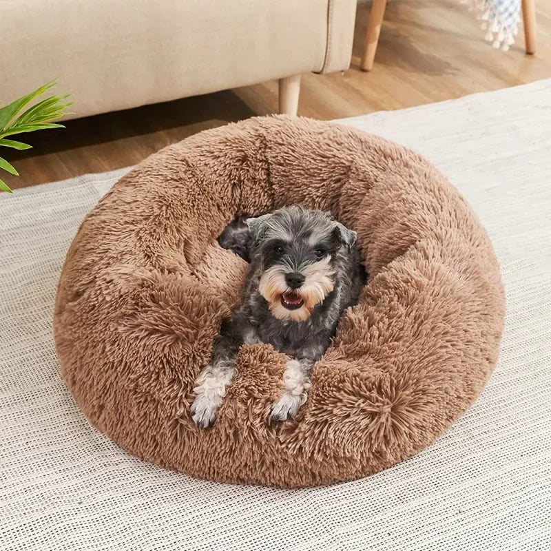 Lit donut super doux lavable pour chat et chien — confort hivernal optimal
