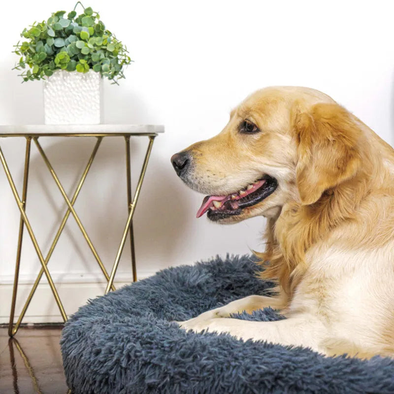 Lit donut grand format ultra-doux lavable pour chiens et chats — toutes tailles