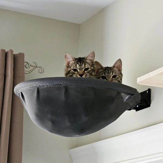 Hamac mural pliable respirant pour chat — lit stable pour dormir grimper et se reposer