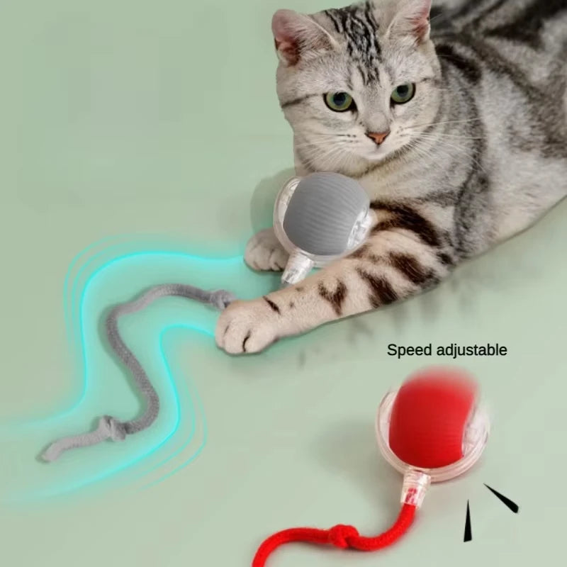 Dog Interactive Ball Toy Automatic Rolling Dog Ball Rechargeable Smart Cat Interactive Toy Intelligent Balls Toy for Pet