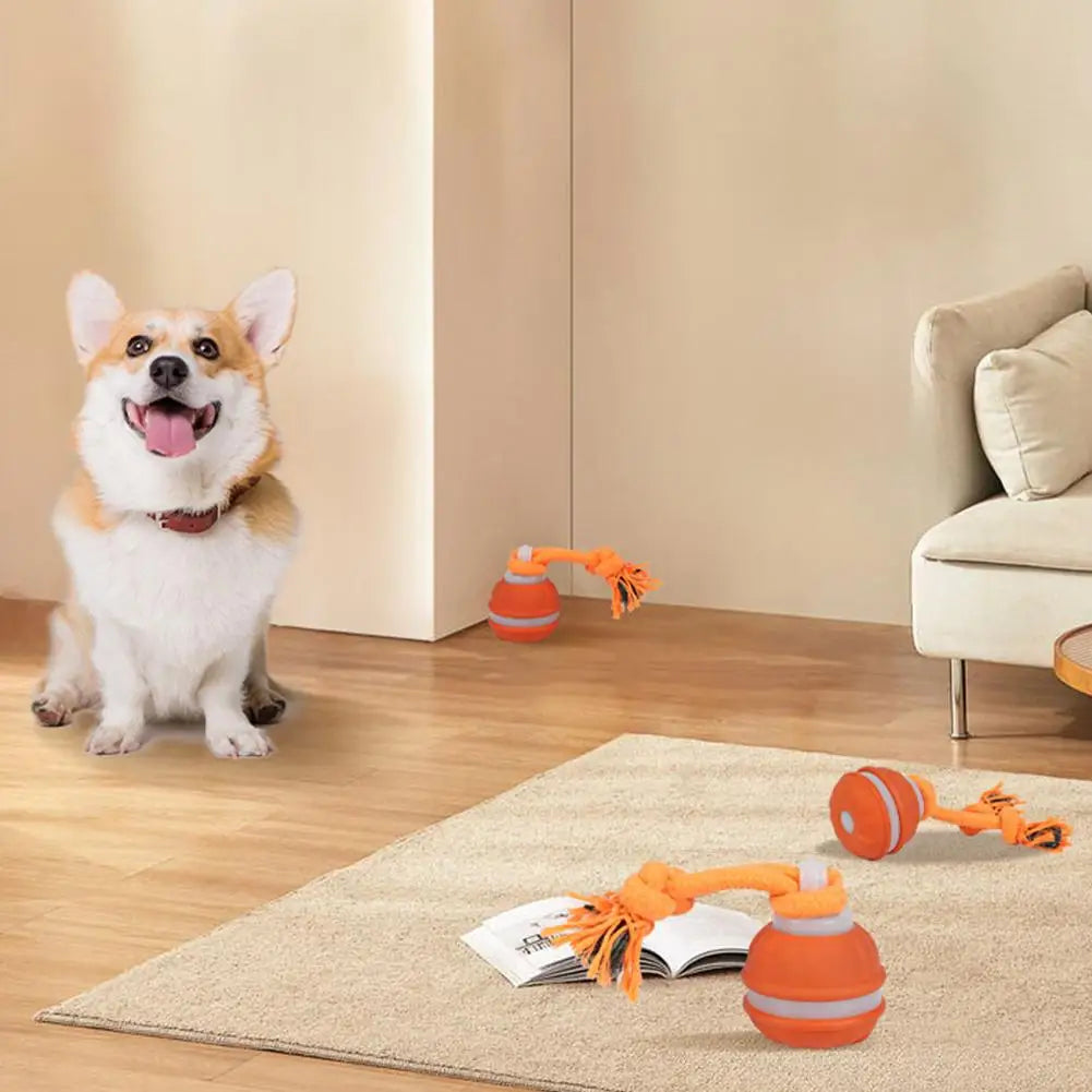 Interactive Dog Toy Ball with Rope Electronic Motion Activated Rolling Ball for Indoor Cat Dog Play Toys for Puppy Training Ball