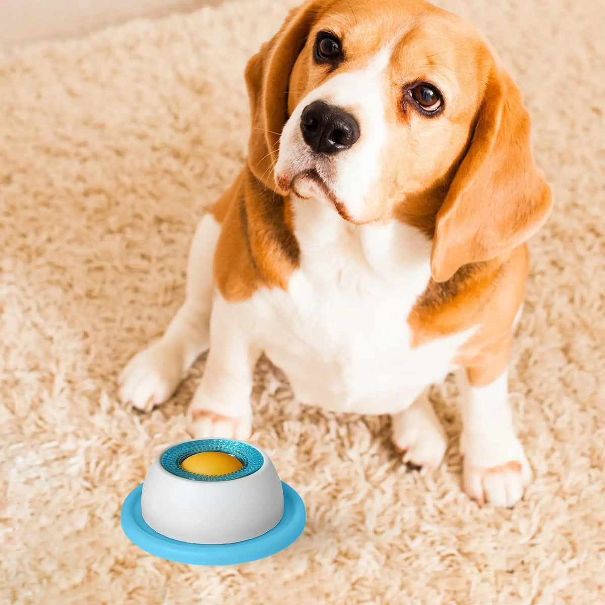 Jouet léche-friandises pour chien – Mangeoire lente anti-glouton