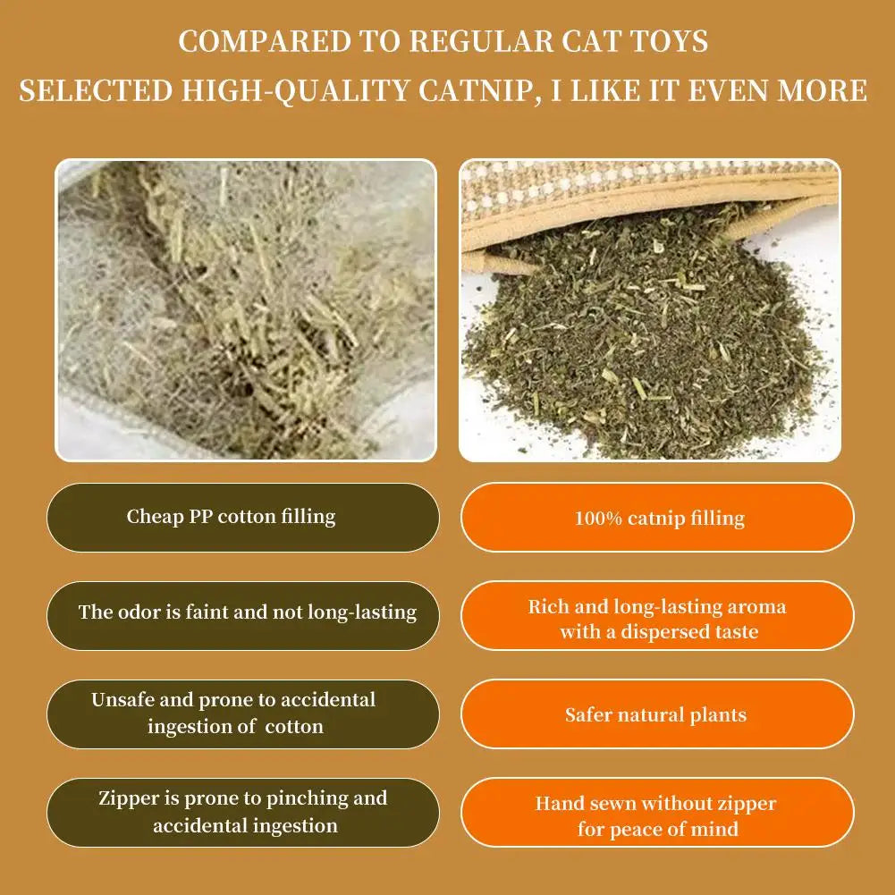 Catnip Cat Toy Plush Interactive Toy For Indoor Cats Scratch Resistant Soft Chew Toy Relieve Anxiety Pet Entertainment Accessory