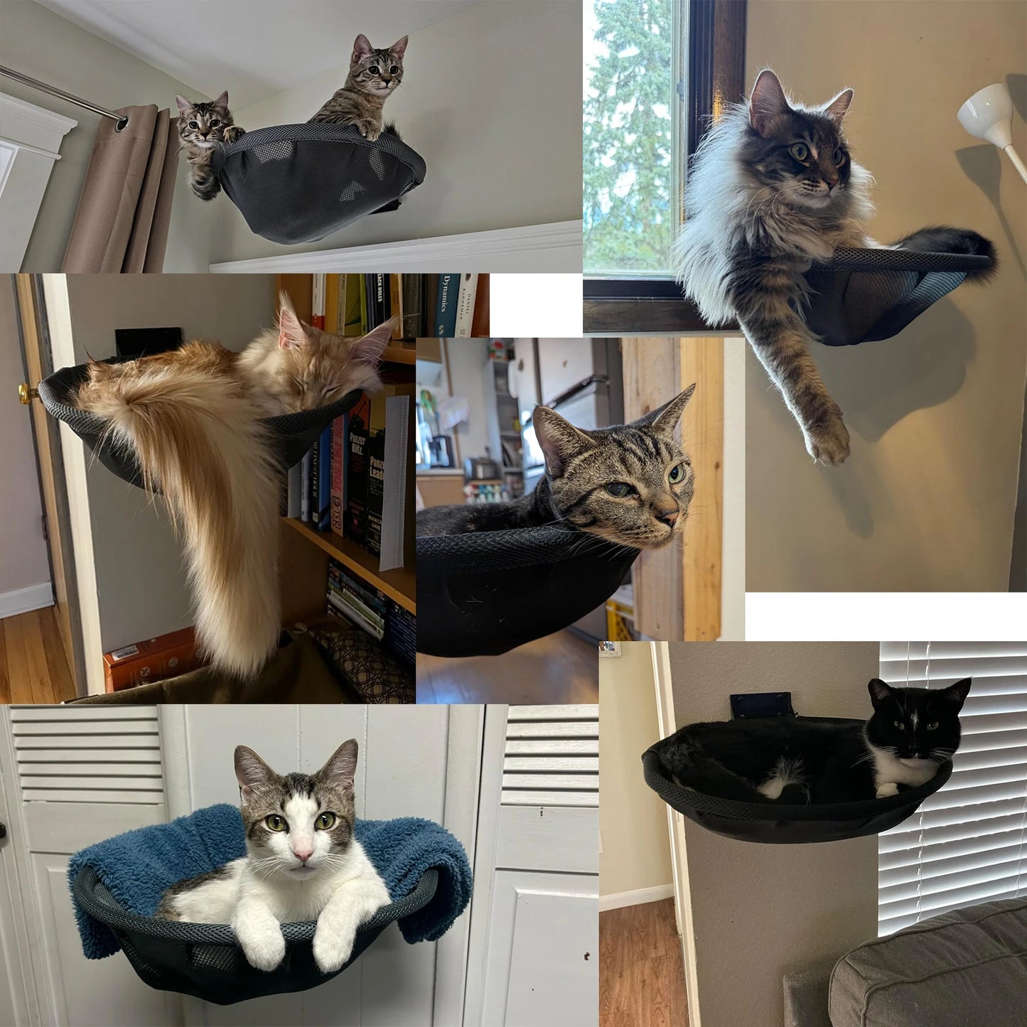 Hamac mural pliable pour chat — tablette respirante 42 cm pour dormir et grimper