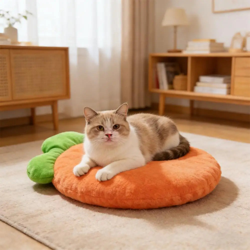 Washable Pet Bed Mat, Washable Cat Cushion, Soft Warm Carrot Shaped Cat Cushion with High Elastic for Small Medium Pets Sleeping