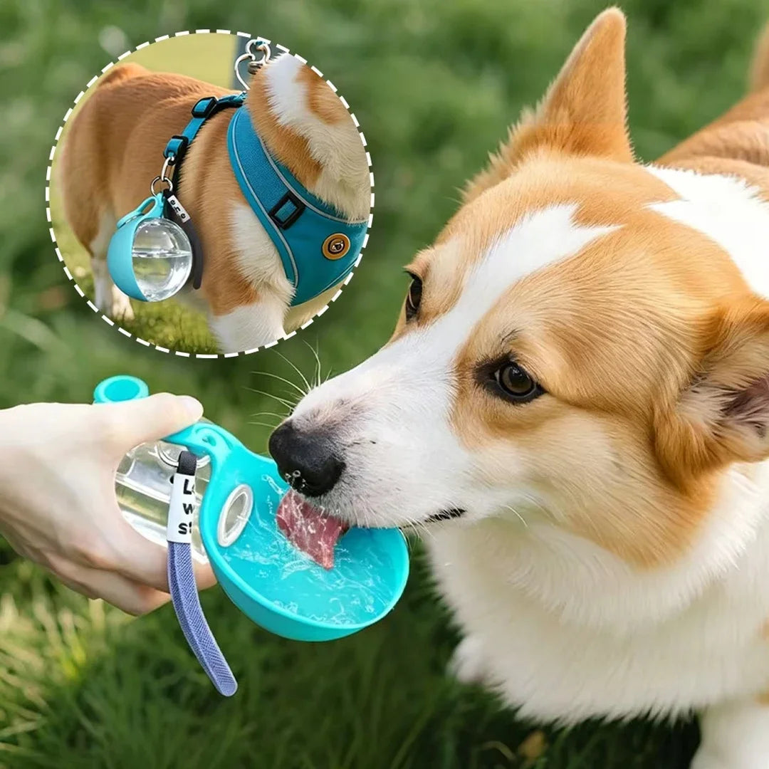 Gourde 2 en 1 portable pour chien avec bol pliable intégré — promenades, randonnées et voyages