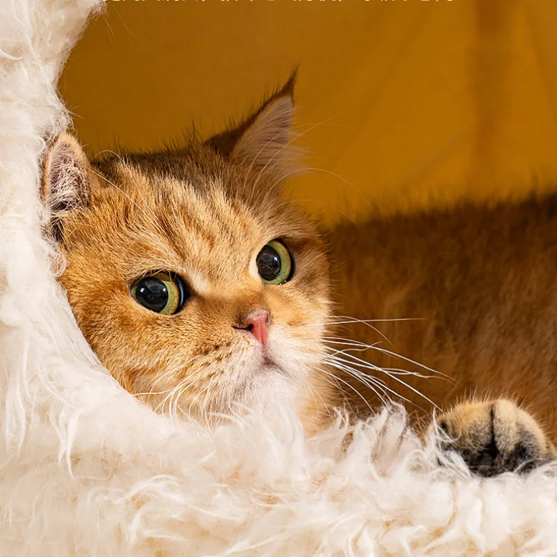 Lit maison ultra-doux pour chat et petit chien — peluche chaude et confortable