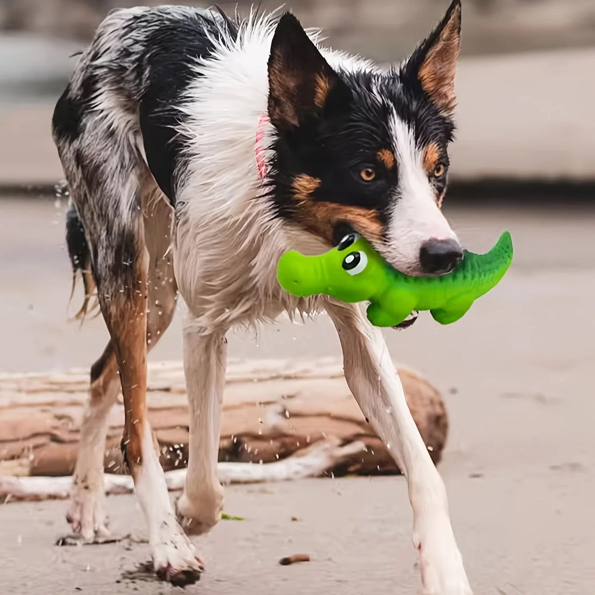 Jouet crocodile en caoutchouc couinant pour chien – Durable, à mâcher, design animal amusant, couleurs assorties