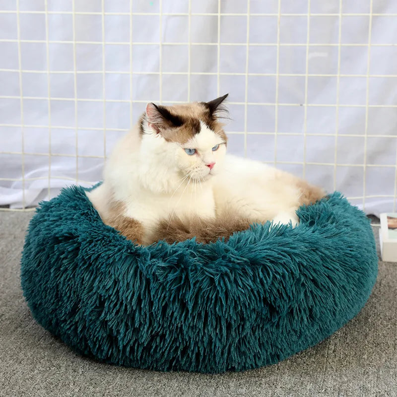 Lit donut super doux lavable pour chat et chien — confort hivernal optimal