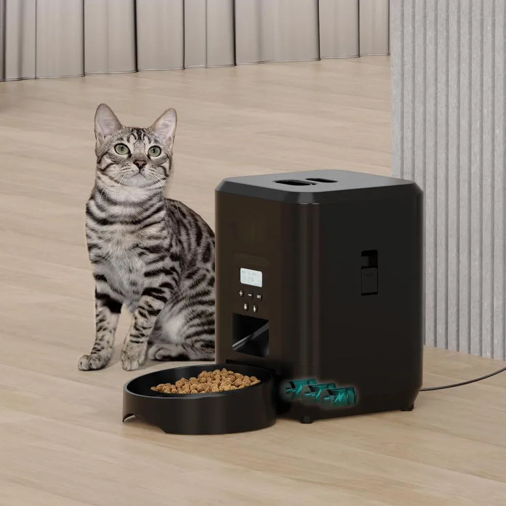 Distributeur intelligent automatique pour chats et chiens avec mangeoire lente et bol