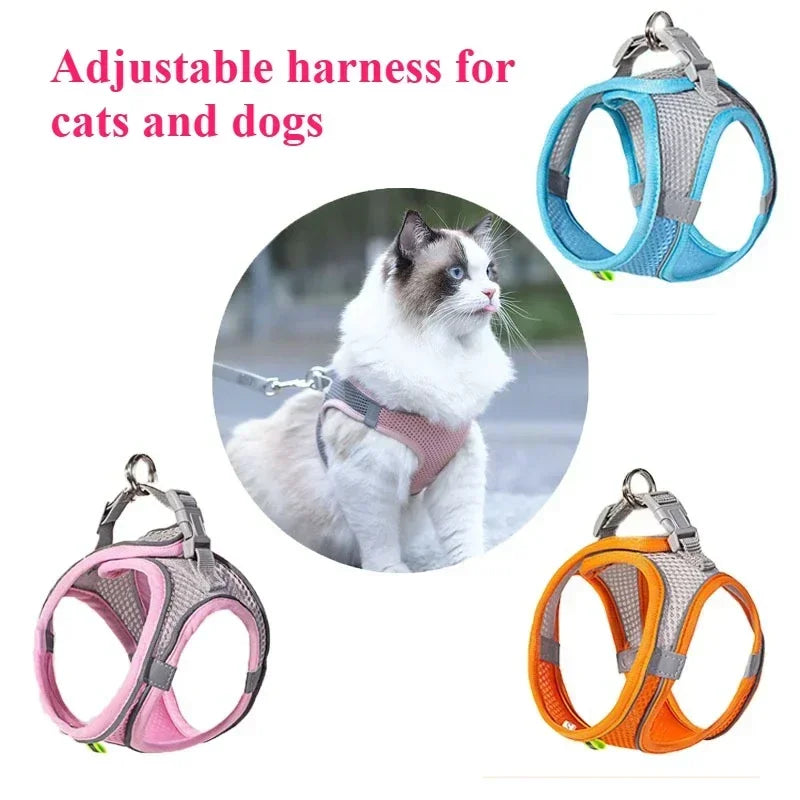Smart Cat Toy Automatic Rolling Ball Electric Cats Toys Interactive for Pet Training Self-moving Kitten Toys for Indoor Playing