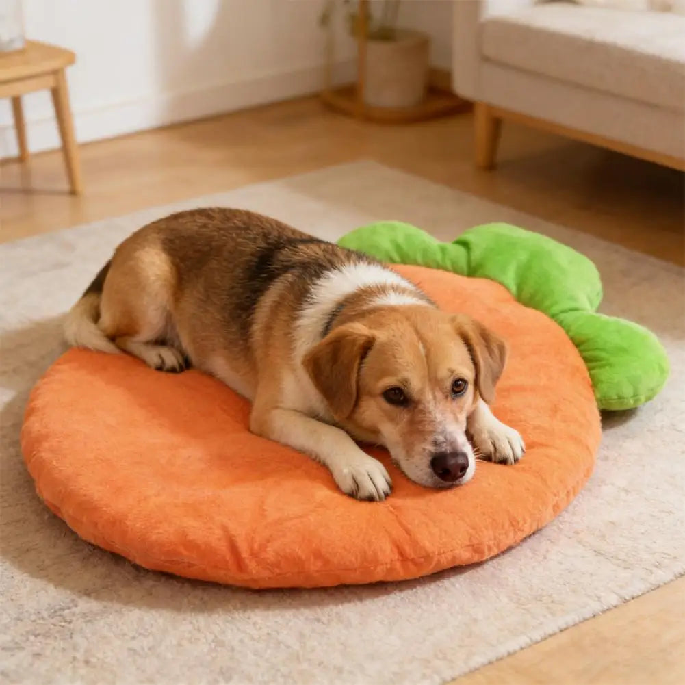 Washable Pet Bed Mat, Washable Cat Cushion, Soft Warm Carrot Shaped Cat Cushion with High Elastic for Small Medium Pets Sleeping