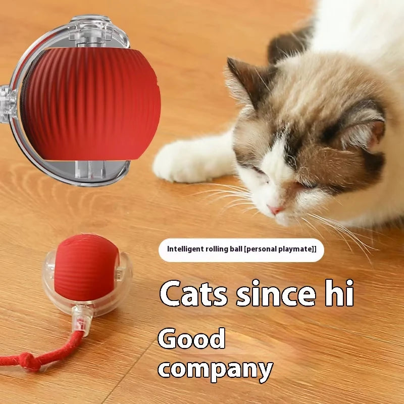 Dog Interactive Ball Toy Automatic Rolling Dog Ball Rechargeable Smart Cat Interactive Toy Intelligent Balls Toy for Pet