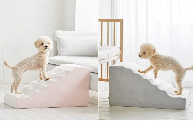 Escalier antidérapant démontable pour chien et chat — protection des hanches et articulations