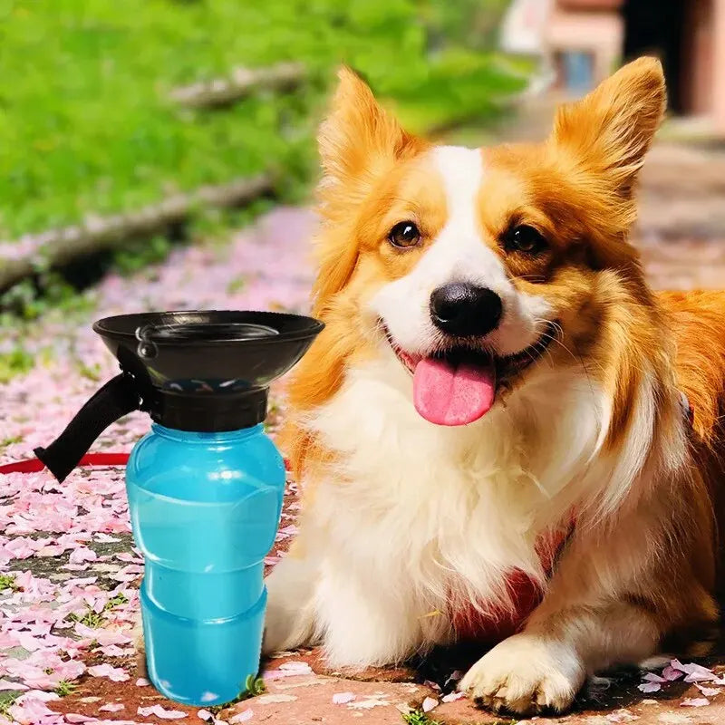 Gourde portable pour chien et chat — tasse d'hydratation pour promenades