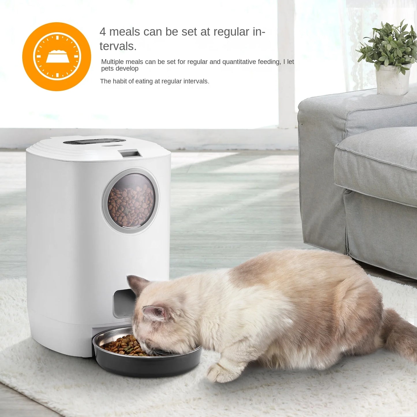 Distributeur intelligent grande capacité avec minuterie, portions programmées et enregistreur vocal