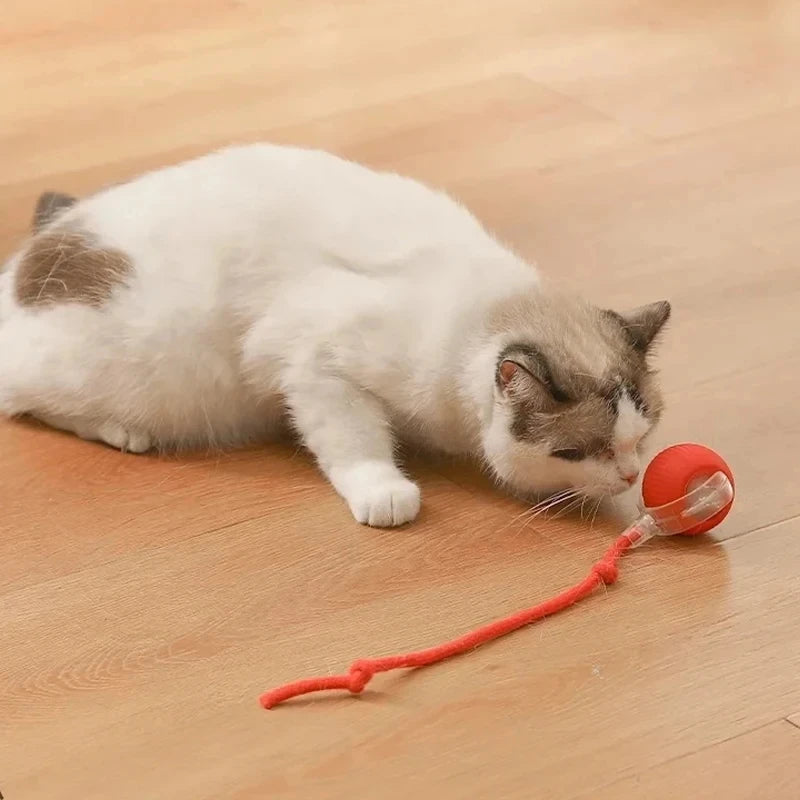 Dog Interactive Ball Toy Automatic Rolling Dog Ball Rechargeable Smart Cat Interactive Toy Intelligent Balls Toy for Pet