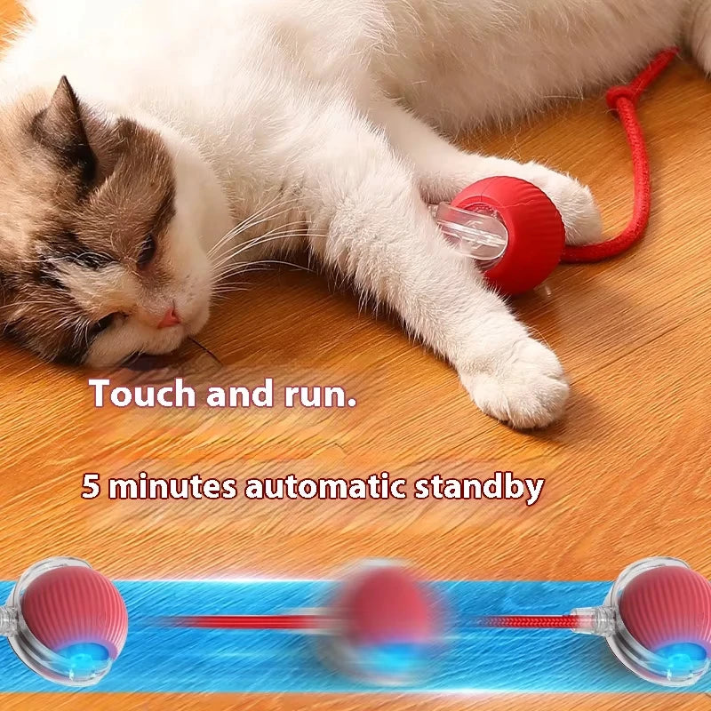 Dog Interactive Ball Toy Automatic Rolling Dog Ball Rechargeable Smart Cat Interactive Toy Intelligent Balls Toy for Pet
