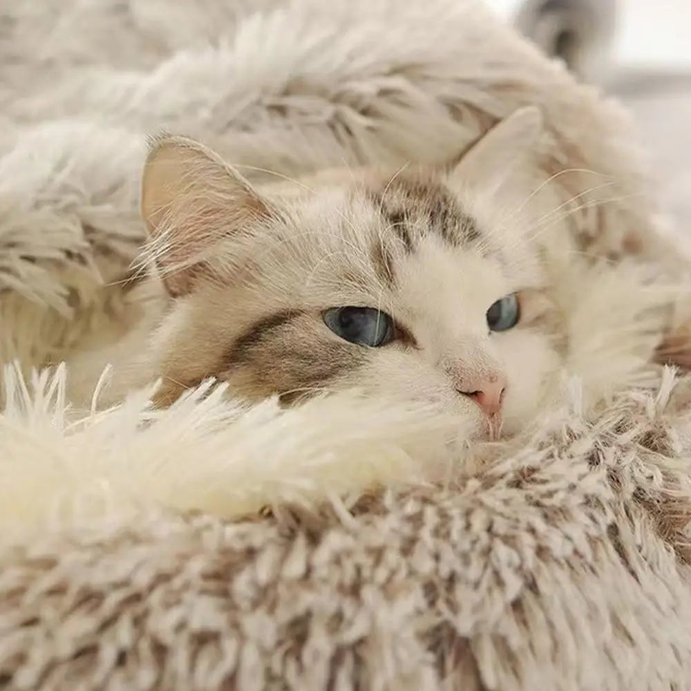 Soft Plush Pet Bed with Cover Round Cat Bed Pet Mattress Warm Cat Dog 2 in 1 Sleeping Nest Cave for Small Dogs Or Cats
