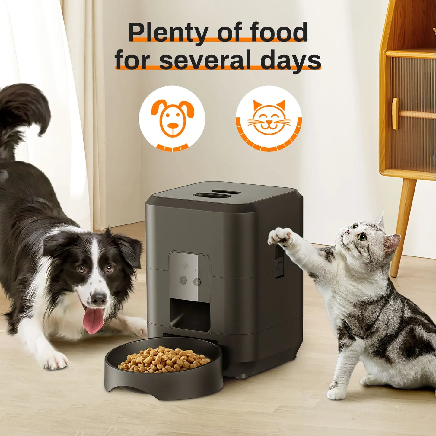 Distributeur intelligent automatique pour chats et chiens avec mangeoire lente et bol