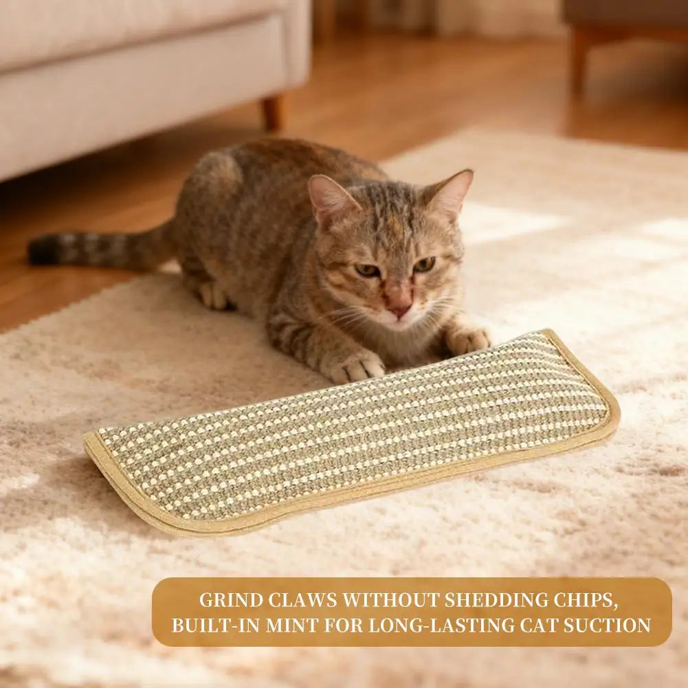 Catnip Cat Toy Plush Interactive Toy For Indoor Cats Scratch Resistant Soft Chew Toy Relieve Anxiety Pet Entertainment Accessory